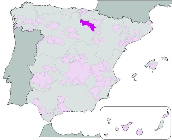 Diamante 2022 white (viura, malvasia) Rioja
